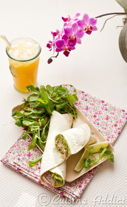 tuna-avocado-wrap-apetizer-recipe