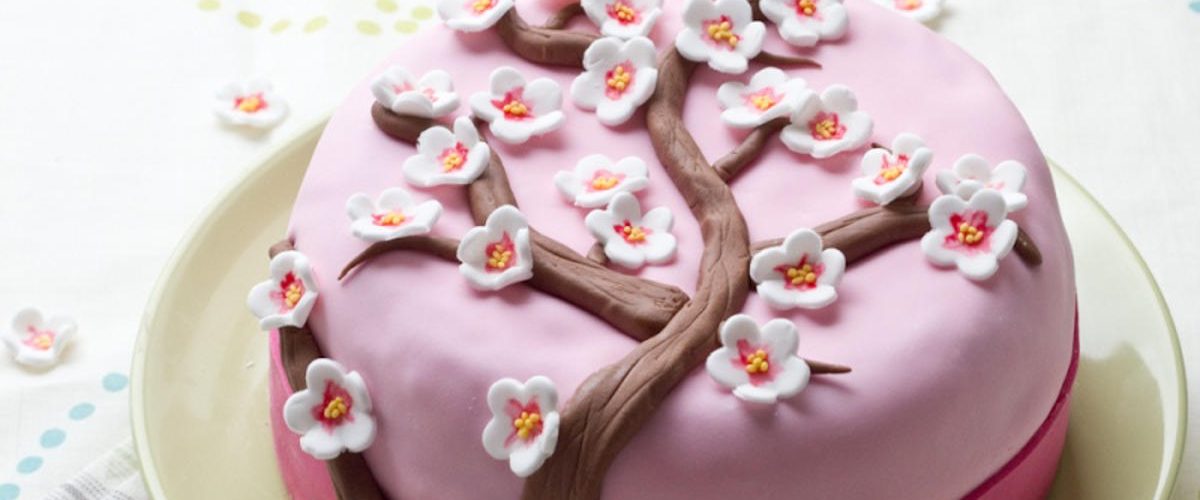 Gâteau d'anniversaire - Elle Mijote Quelque Chose