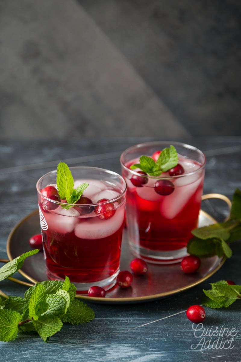Cocktail gin, tonic et cranberry