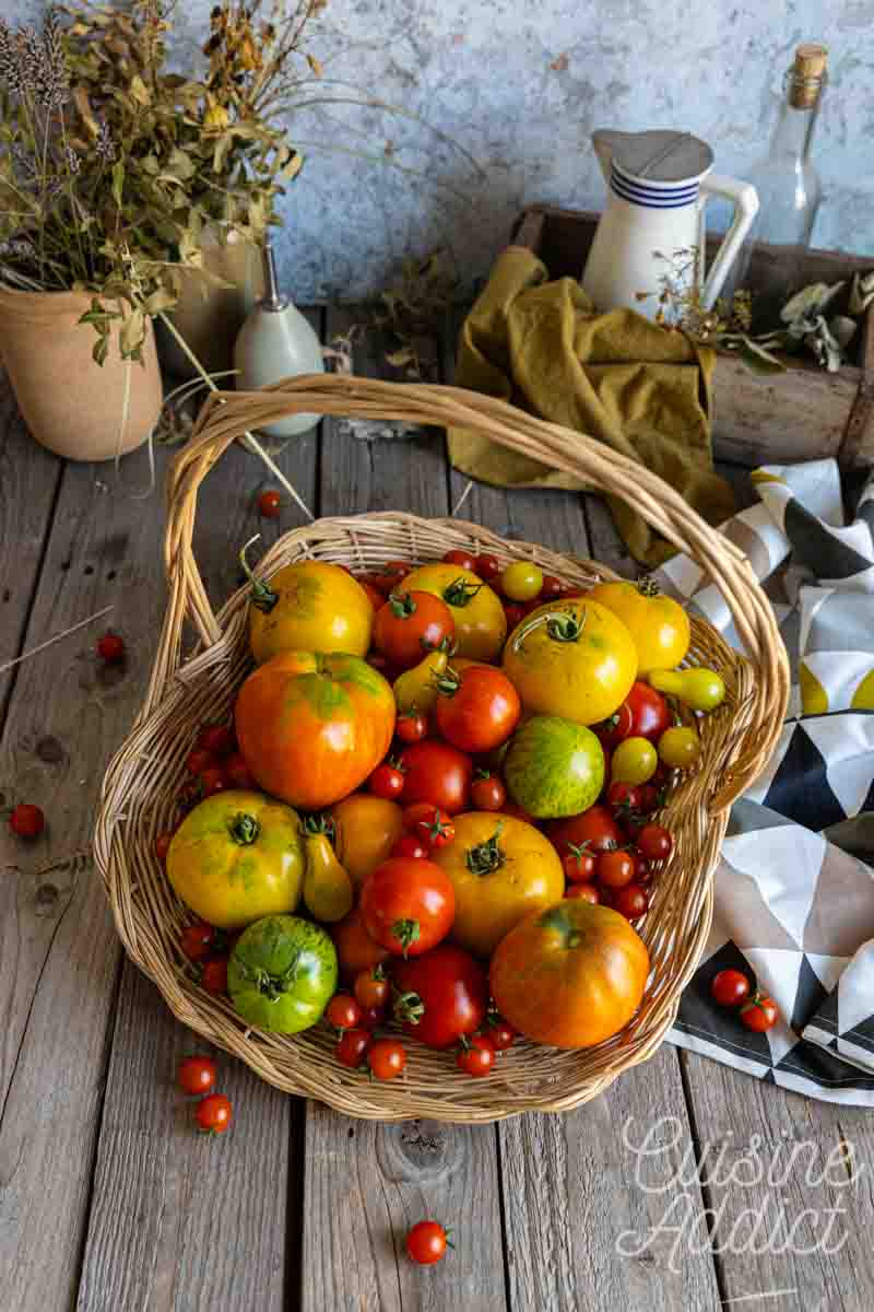 Récolte de tomates du potager