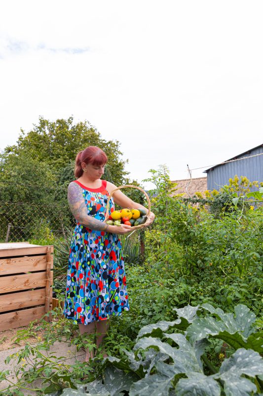 Récoltes au potager