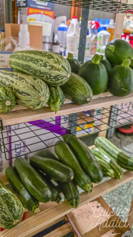 Stockage des courgettes au cellier
