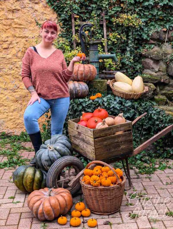 Une belle récolte de courges